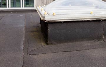 disadvantages of Biddisham flat roofs