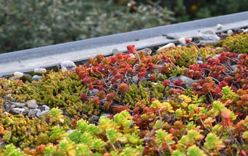 the cost of Biddisham green roof installation