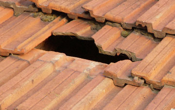 roof repair Biddisham, Somerset