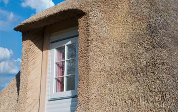 Biddisham thatch roof disadvantages
