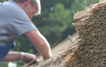 professional Biddisham thatchers