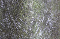 Biddisham fibreglass roof work